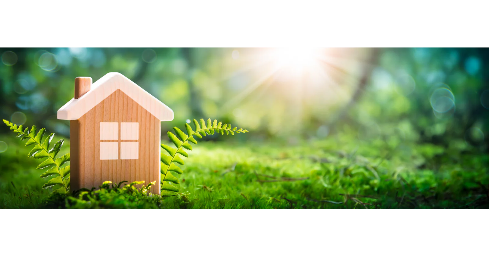 Shop Unique Finds, Build Hope
